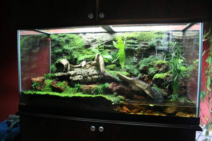 How to make a decoration something vivarium safe