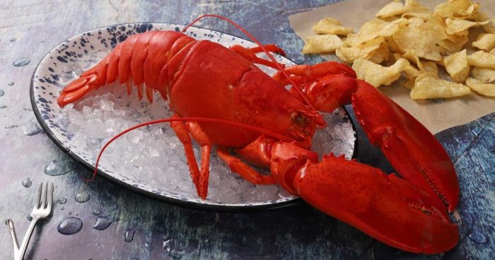 How to cook lobster maine style