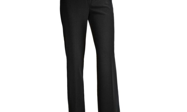 Dress pants and shirt for women