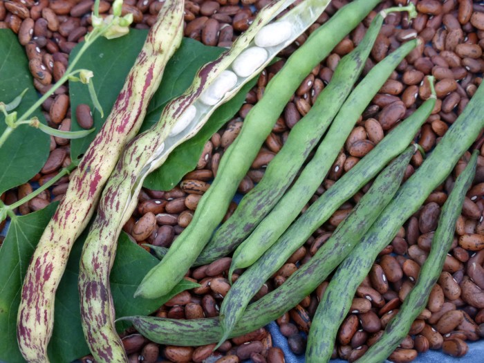 How to cook pole beans southern style