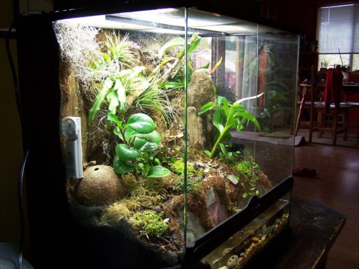 How to make a decoration something vivarium safe