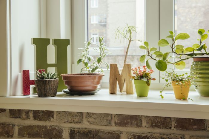 Decorate counters function lorabloomquist vignettes countertops